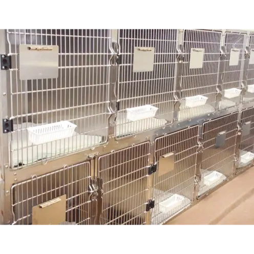 Close up of kennels